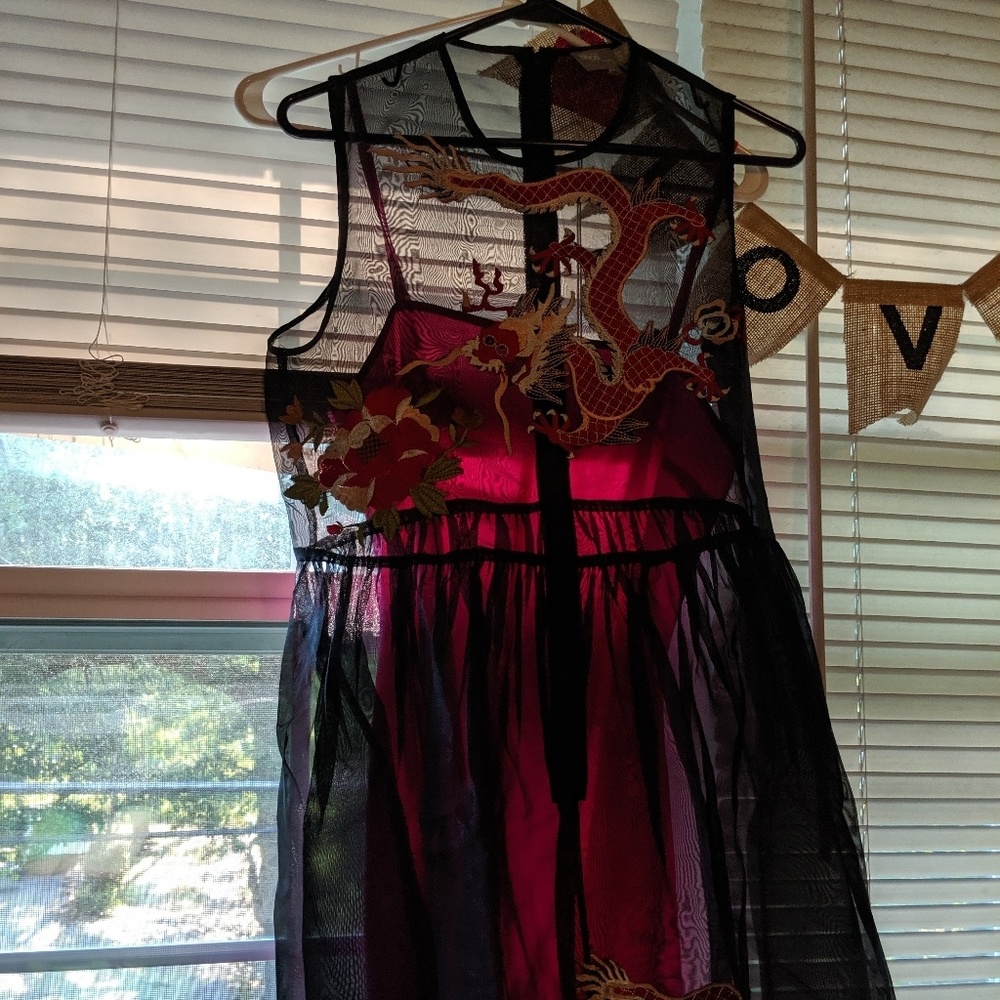 Asos Dragon Dress